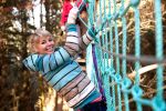 ADRENALIN FOREST - Bay of Plenty